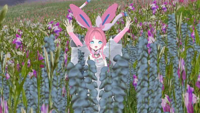 ギャラリー画像 e6c3f025-bbbe-4a73-af41-594e69741803