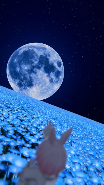 ギャラリー画像 1b290e85-8ed7-4da3-9e26-0d28bd1565b5