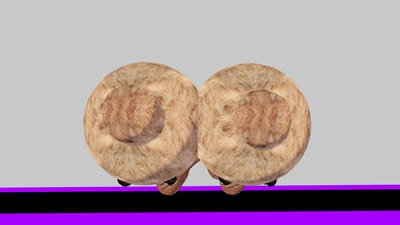 ギャラリー画像 c5663d02-3ac4-43aa-ba38-b1bc12c0e3d1