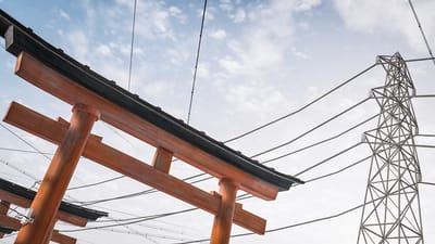 ギャラリー画像 6ba0b25d-5a77-4b2c-b95d-4e5ccde1b387