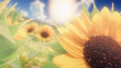 ギャラリー画像 40893b23-060f-417a-8167-29b22a624048