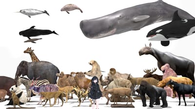 ギャラリー画像 c11c4580-bc3b-42ed-a67b-3042d46a2f8f