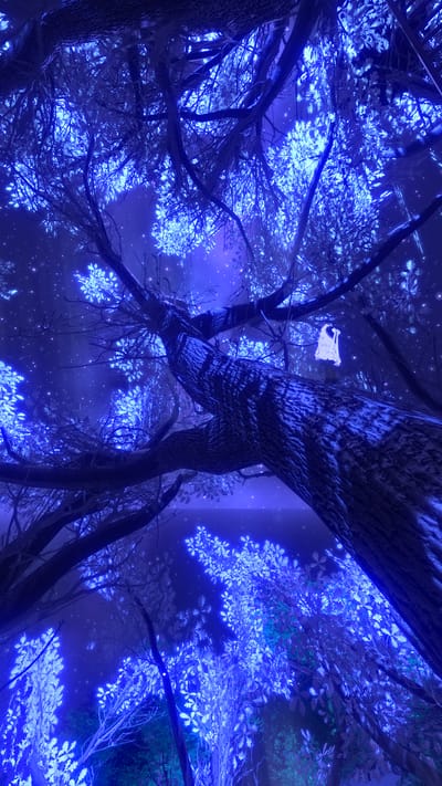 ギャラリー画像 8074df35-df82-425b-8ae3-9934c7a46a59