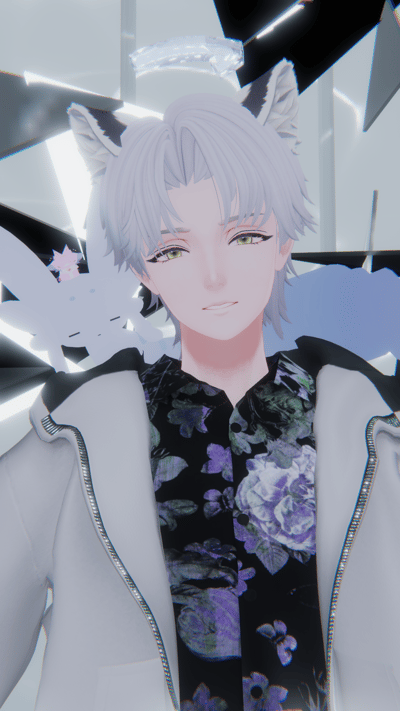 ギャラリー画像 c56dcac6-75b1-4026-b705-701459f03871