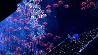 ギャラリー画像 b4e199e9-bd72-48ea-8e80-05625e5472ff