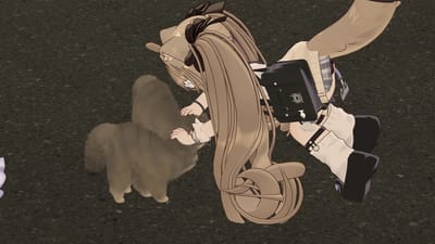 ギャラリー画像 f976c53f-273e-4197-8593-4f58e55b8ca6