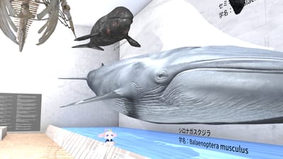 ギャラリー画像 8d73f74e-ed8f-4c3a-acba-eb814a58fed8