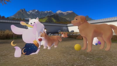 たぬきリスさんが古民家ドッグランで撮影したVRChat写真