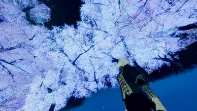 ギャラリー画像 61da461e-7168-4eb3-a7d0-a53d4a5449e2