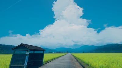ギャラリー画像 b47e072b-b052-4ea0-801e-39520158fa08