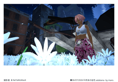 ギャラリー画像 3dde6bc2-1111-4b8d-b683-a2efba504f68