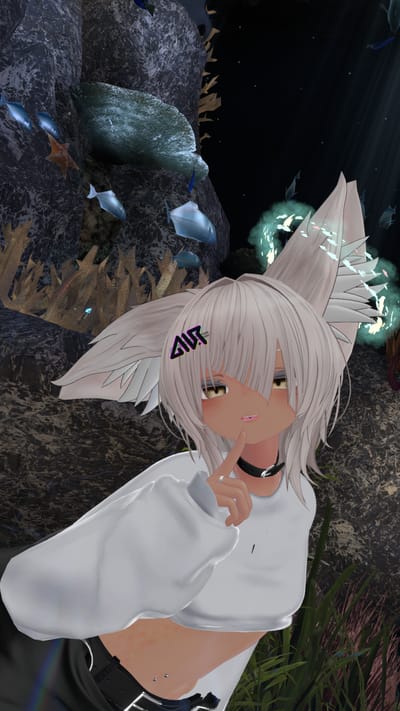 ギャラリー画像 487f3edb-9c4e-4ddb-9504-e56d26586734