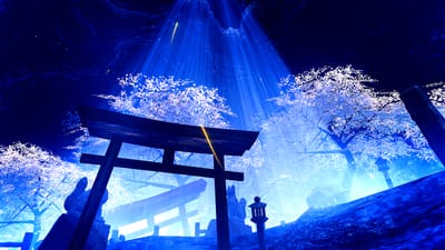 ギャラリー画像 cb56a3a8-9e75-4409-b648-79e4eeb2214f