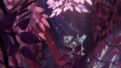 ギャラリー画像 ae9550e8-e71a-4b96-81ad-a46902c362e6