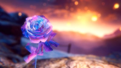ギャラリー画像 38466991-c937-4cbf-b82c-fdf376ffe4f9