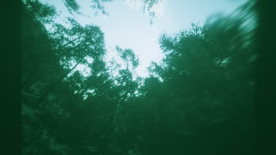 ギャラリー画像 330042c2-2efb-4fb9-9512-fa9319146413
