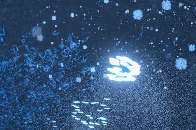 ギャラリー画像 cb00f6f0-d852-423b-8cac-e313922ca0c5