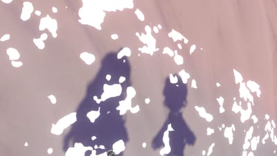 ギャラリー画像 102ccc57-0495-4aa7-81fc-eb1aa2d32868