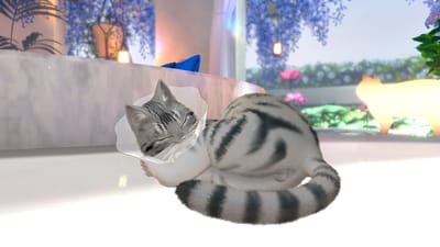 ギャラリー画像 4d29a3d5-9283-425e-a015-b273172c4805