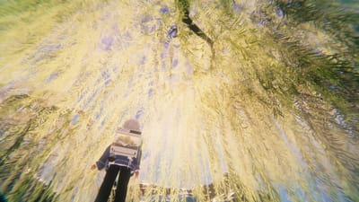ギャラリー画像 53e3035d-0b86-4bef-b7e0-731f12b97d52