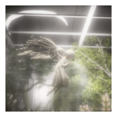 ギャラリー画像 016d79e5-5605-4826-bfea-812c556de60b