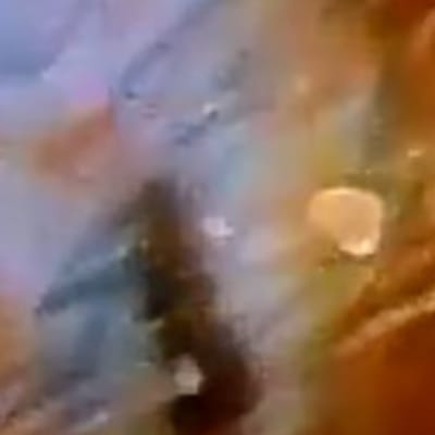 ギャラリー画像 9951c64d-9519-40d1-8c2d-035b025f4465