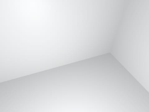 白背景で写真を撮るワールド