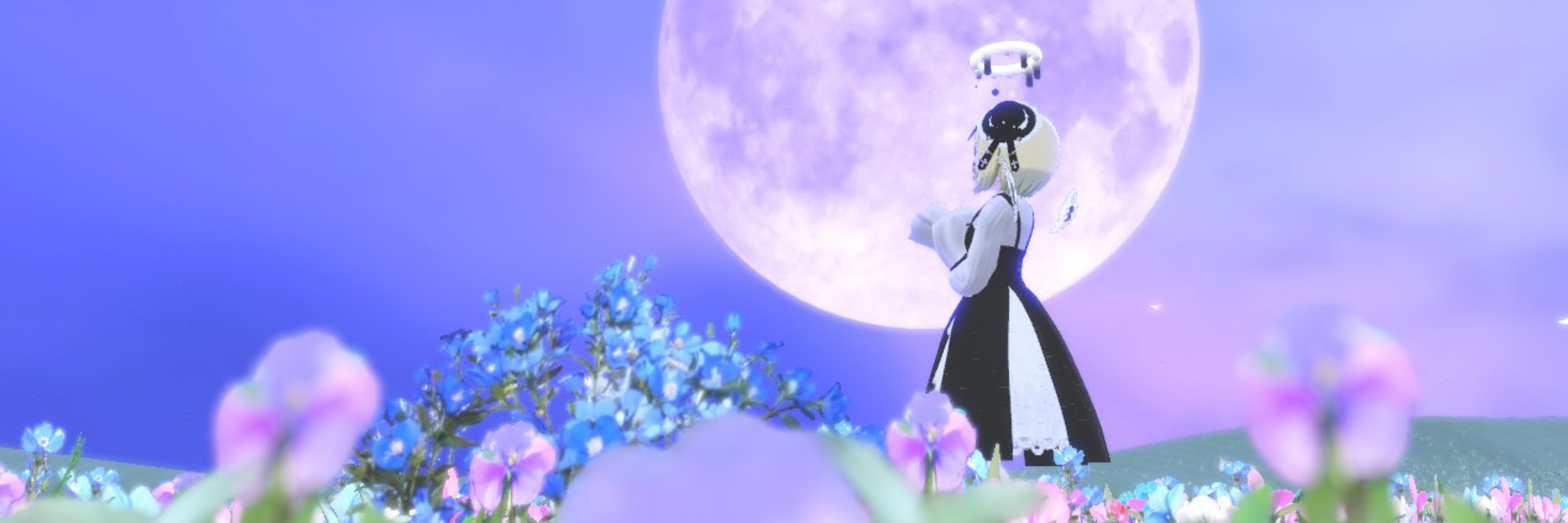 Ruru_134さんのヘッダー画像