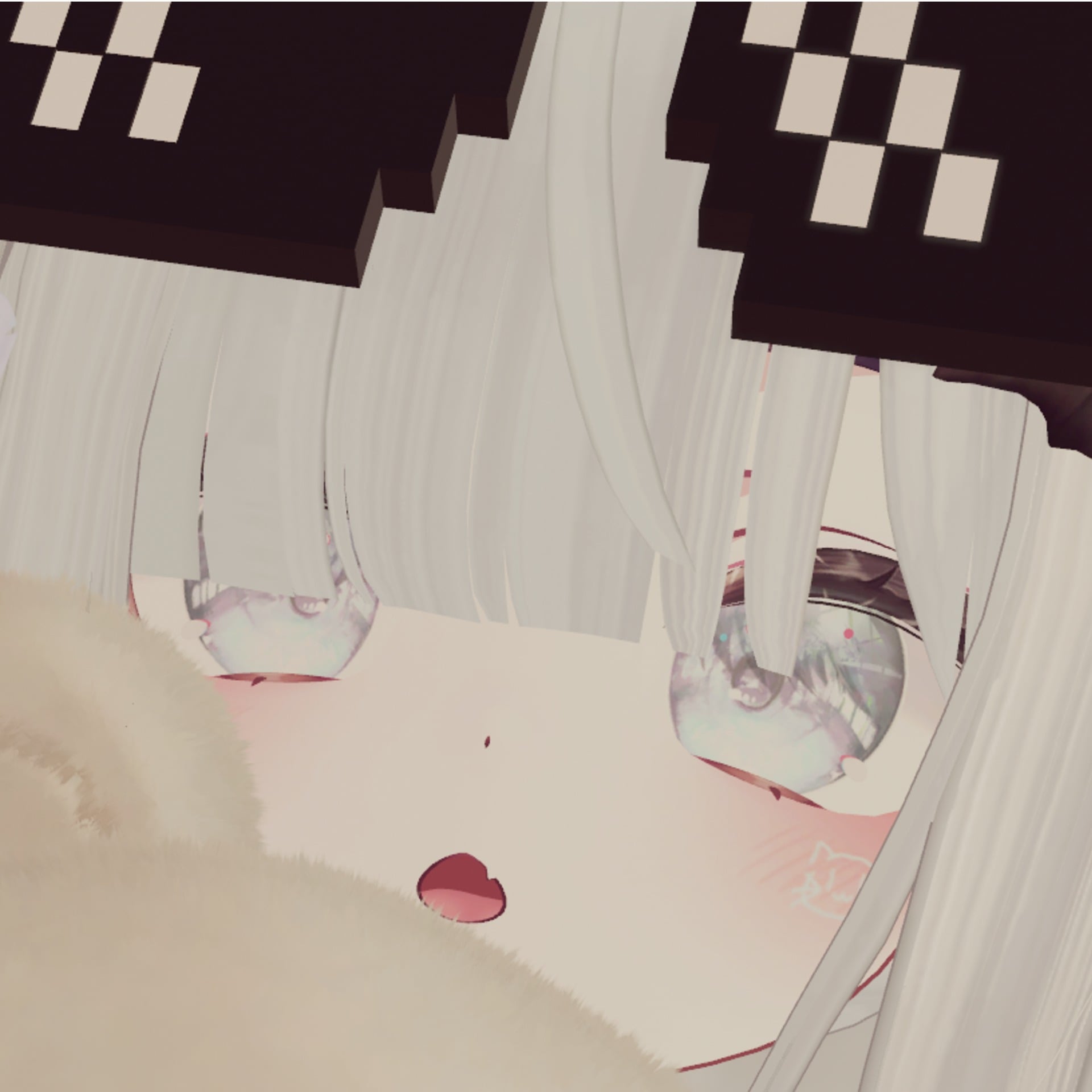 ねこねこネットワーク～