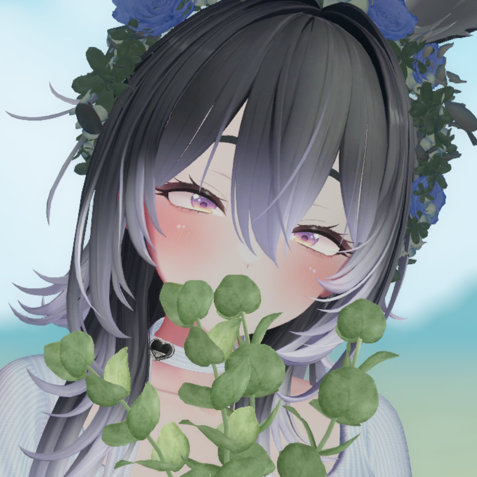 mikaQQQ