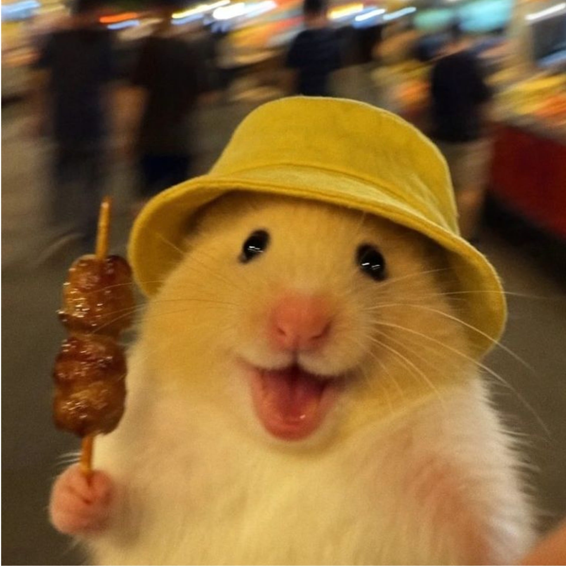 ˗ˋˏ𖦹 さんたろう 𖦹ˎˊ˗