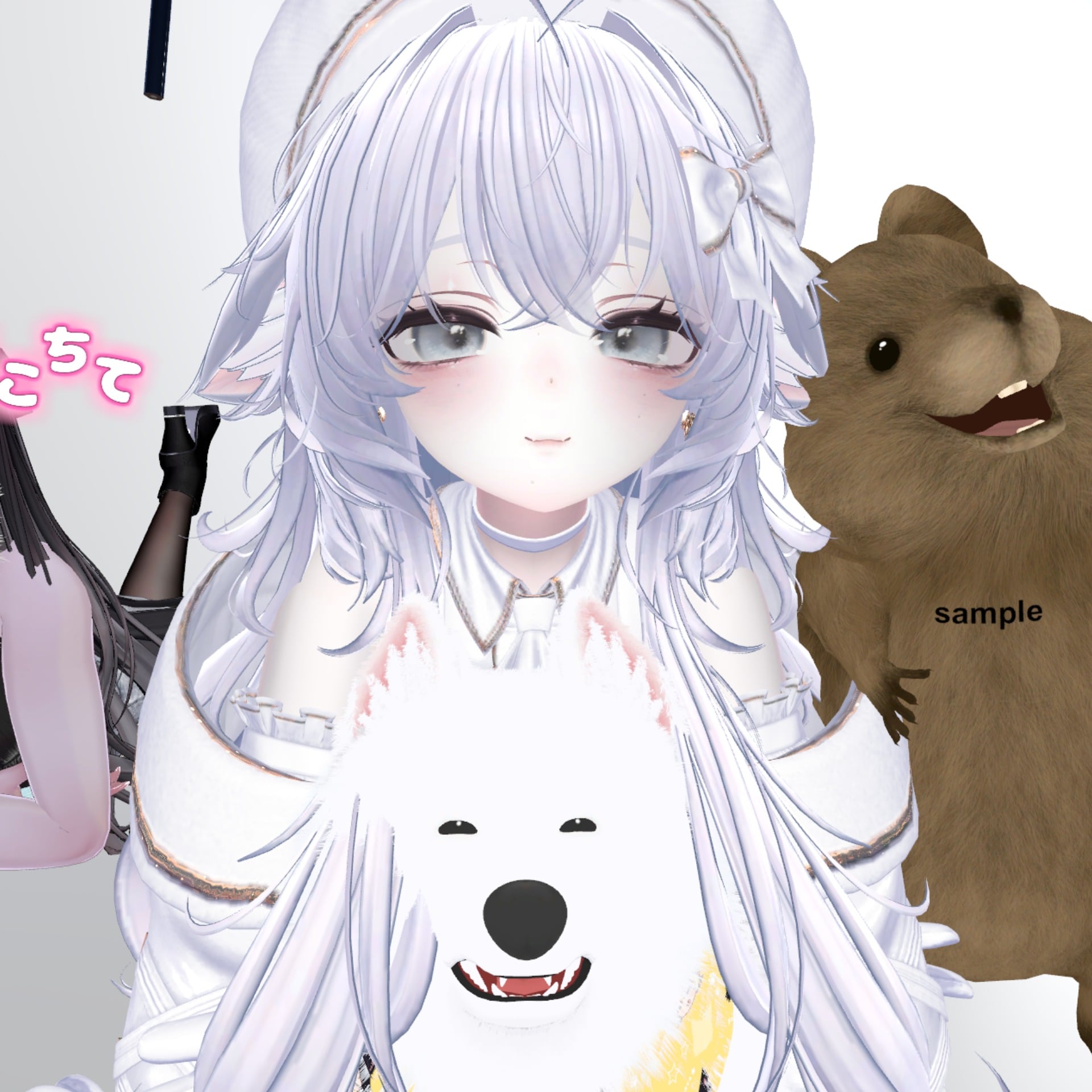 せつこ。